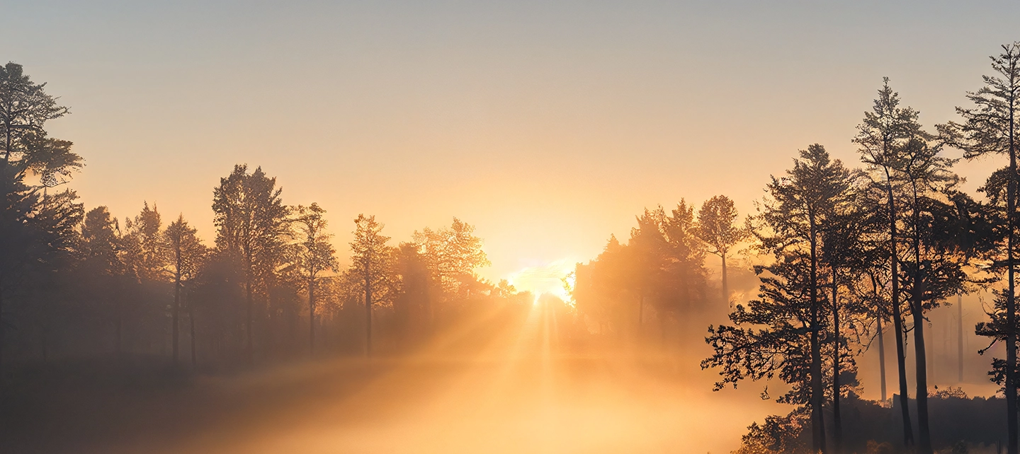 Sonnenaufgang über nebligem Wald