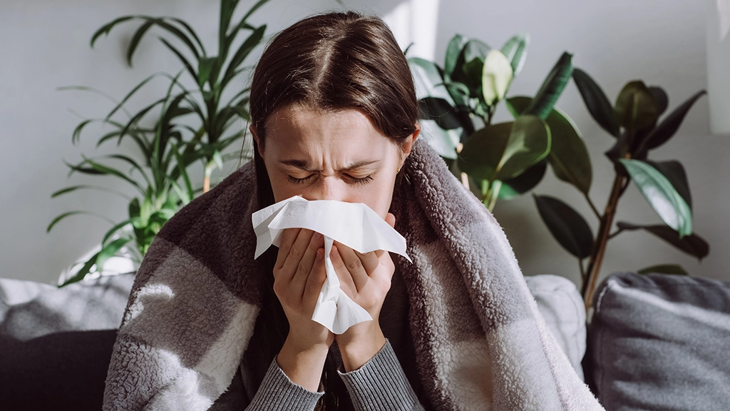 Erkältung - Frau ist sichtlich krank und niesst in ein Taschentuch